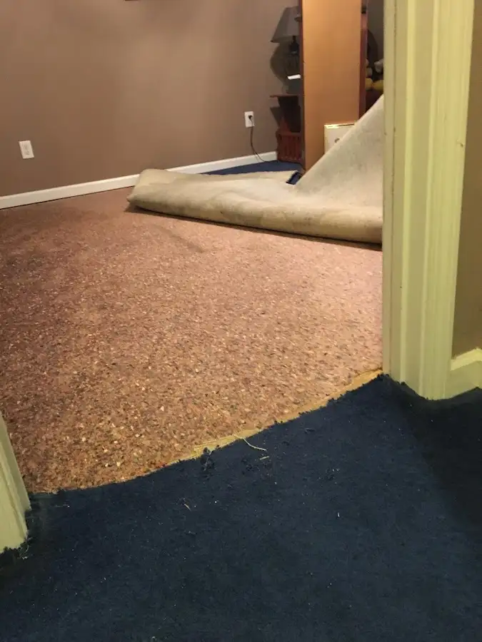 Carpet pad removal revealing water damage during Drying & Dehumidification in Holbrook
