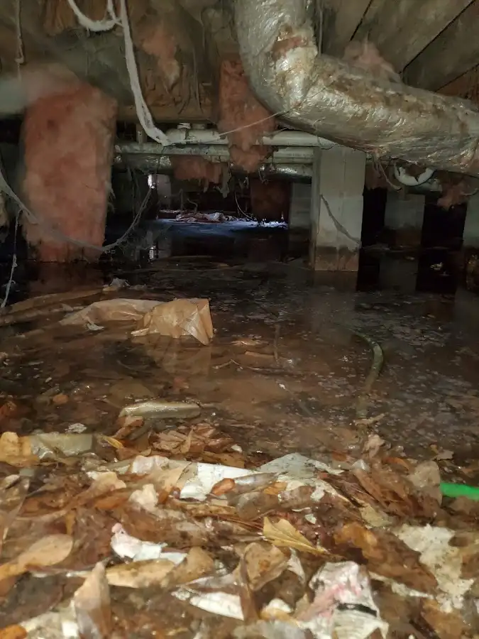 Crawl space flood assessment for Commercial Water Damage Restoration in Holbrook