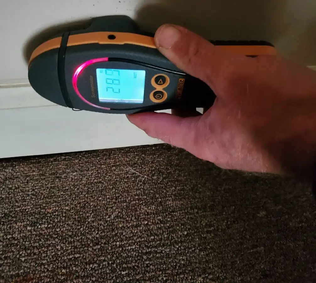 Moisture detection at baseboard during Burst Pipe Cleanup in Holbrook